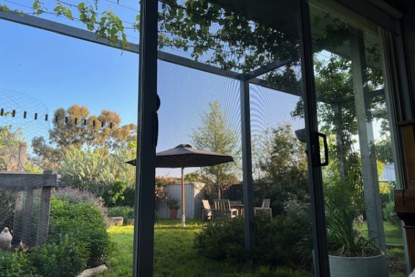 image5 image5
